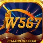 W567 Game