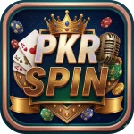 PKRSpin Game